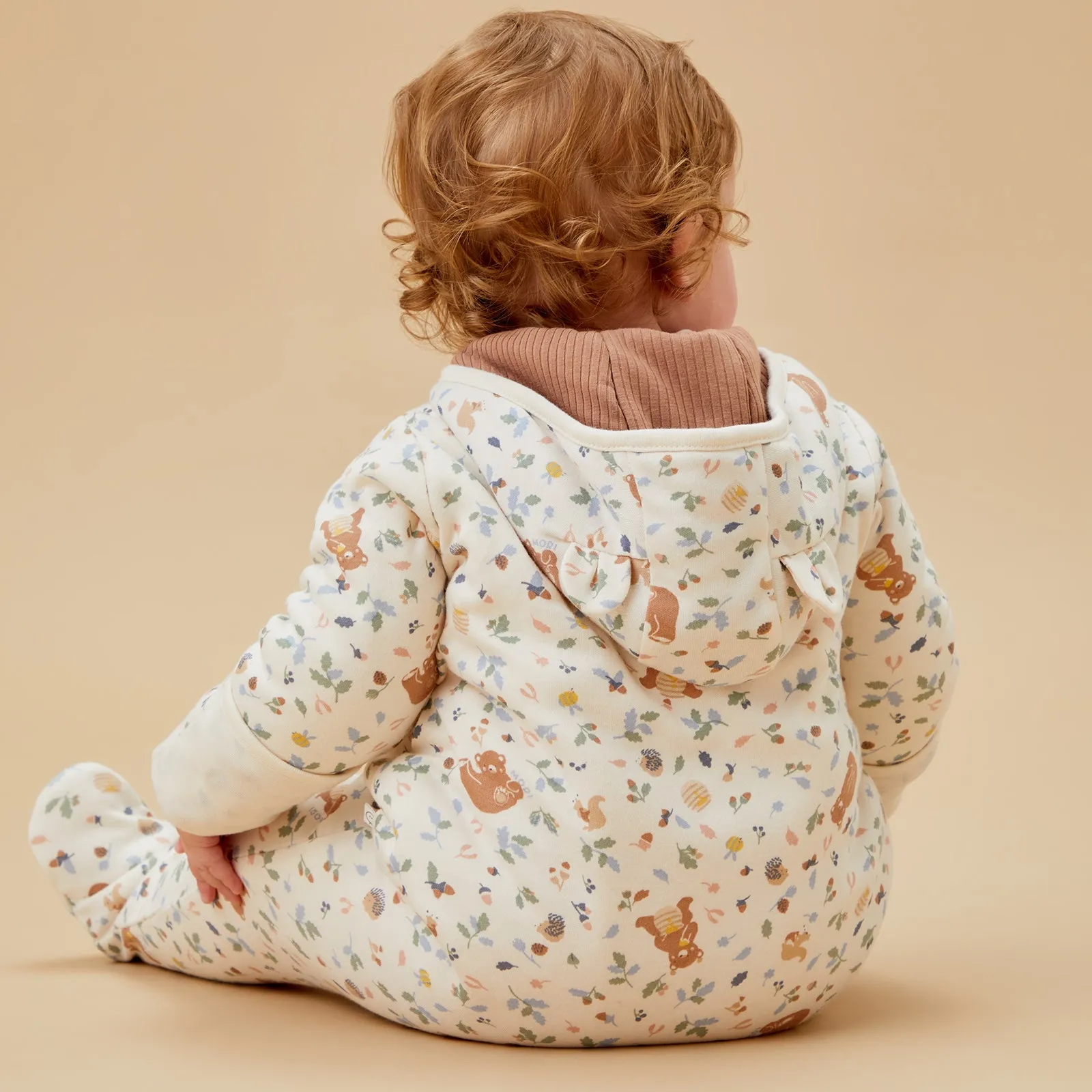 Bear Print Pramsuit