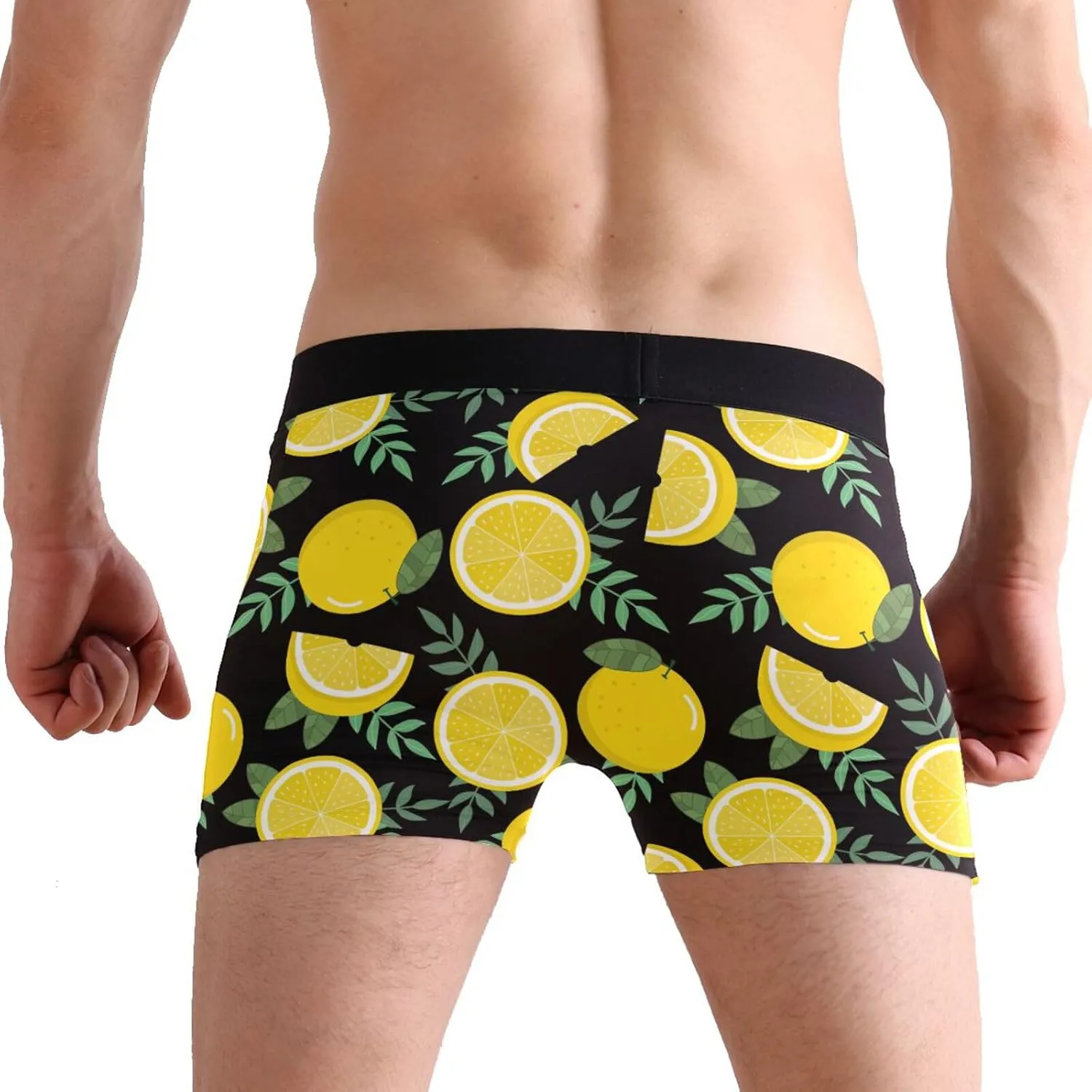 Lemon and Leaf Mens Boxer Briefs Underwear Breathable Stretch Boxer Trunk with Pouch S-XXL