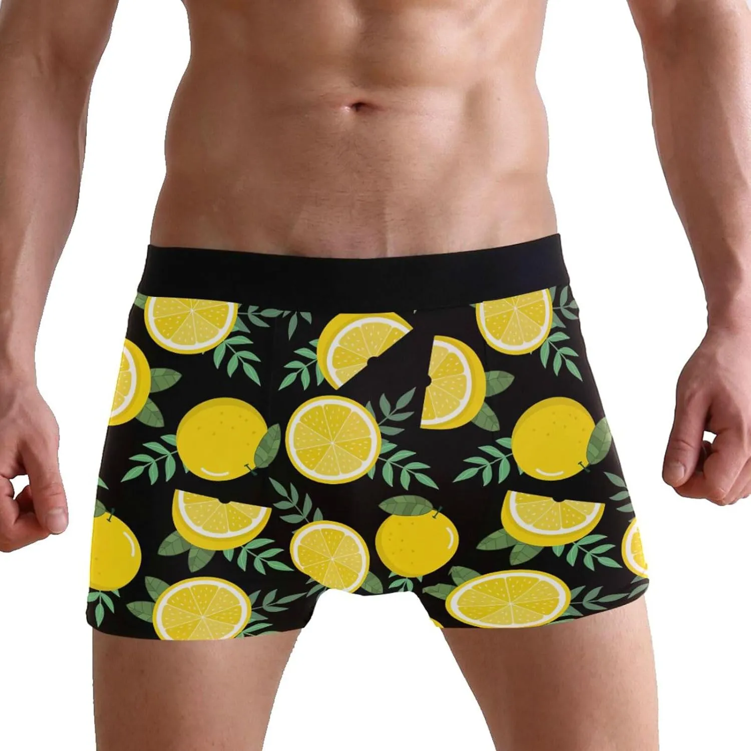 Lemon and Leaf Mens Boxer Briefs Underwear Breathable Stretch Boxer Trunk with Pouch S-XXL