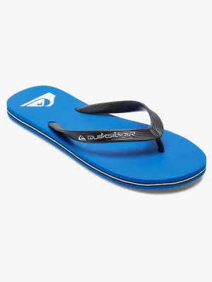 Mens Molokai Core Flip Flops