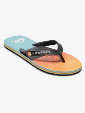 Mens Molokai Panel Flip-Flops