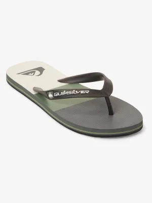 Mens Molokai Stripe Beach Flip Flops