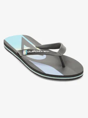 Mens Molokai Stripe Flip Flops